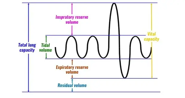 Respiratory Volumes